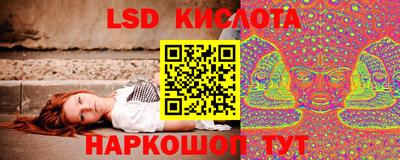 прущие грибы Гусь-Хрустальный
