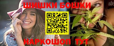 тгк Гай