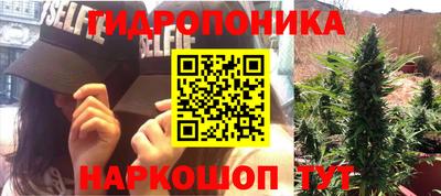 прущие грибы Гусь-Хрустальный