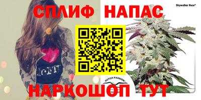 прущие грибы Гусь-Хрустальный