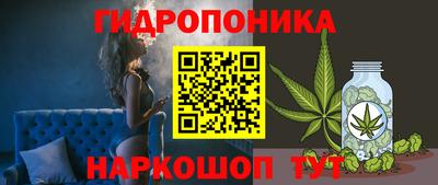мдма Гусев