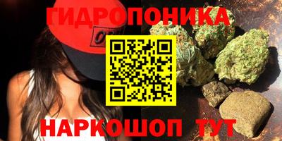 прущие грибы Гусь-Хрустальный